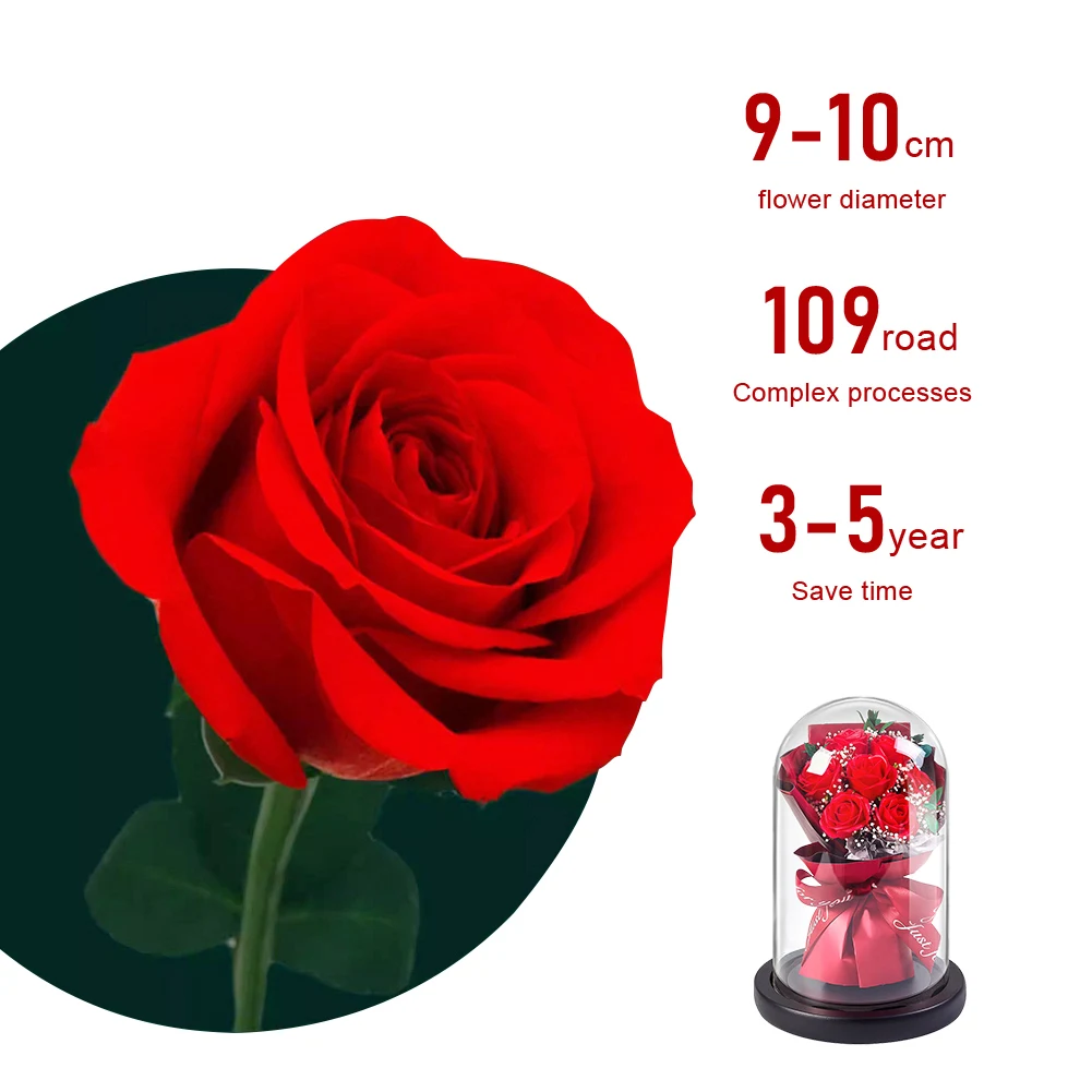 

Preserved Flower Glass Cover Ornaments with Lights Rose Sunflower Dried Flowers Bouquet Carnation Tulip for Mom Girlfriends Wife