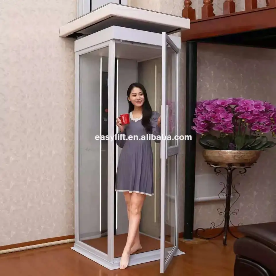 Ascensor Elevador 2 Storey House Lift Passenger Elevator: A Comprehensive Review and Guide