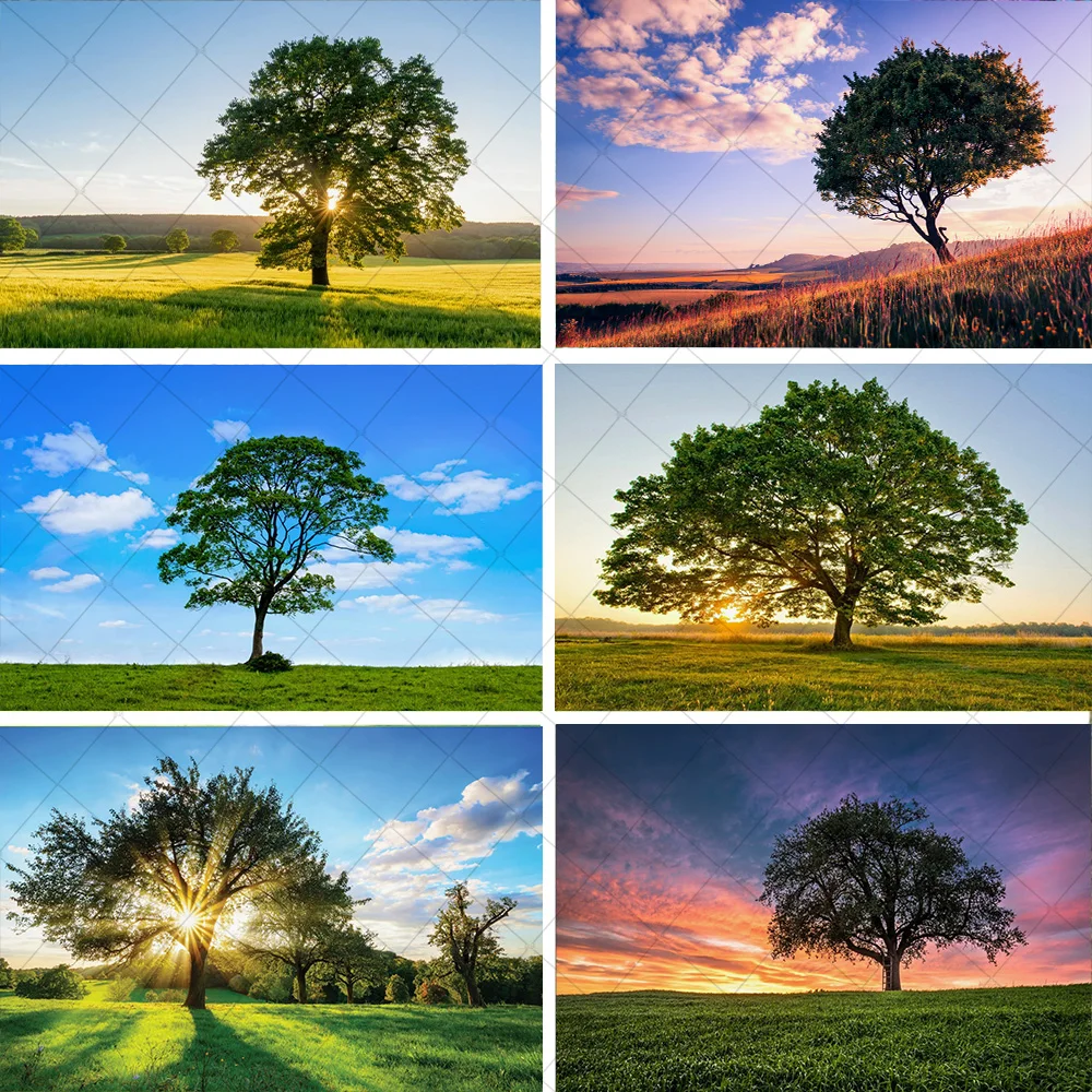 

‌Nature Landscape Photography Backdrop Tree Scene Banner Props for Background Supplies Photo Shoot Decoration Outdoor Scenery