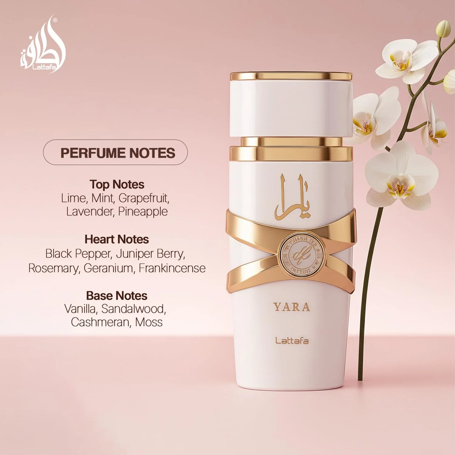 Lattafa Yara Genderless Perfum - Luxury Gift Set 评论和价格