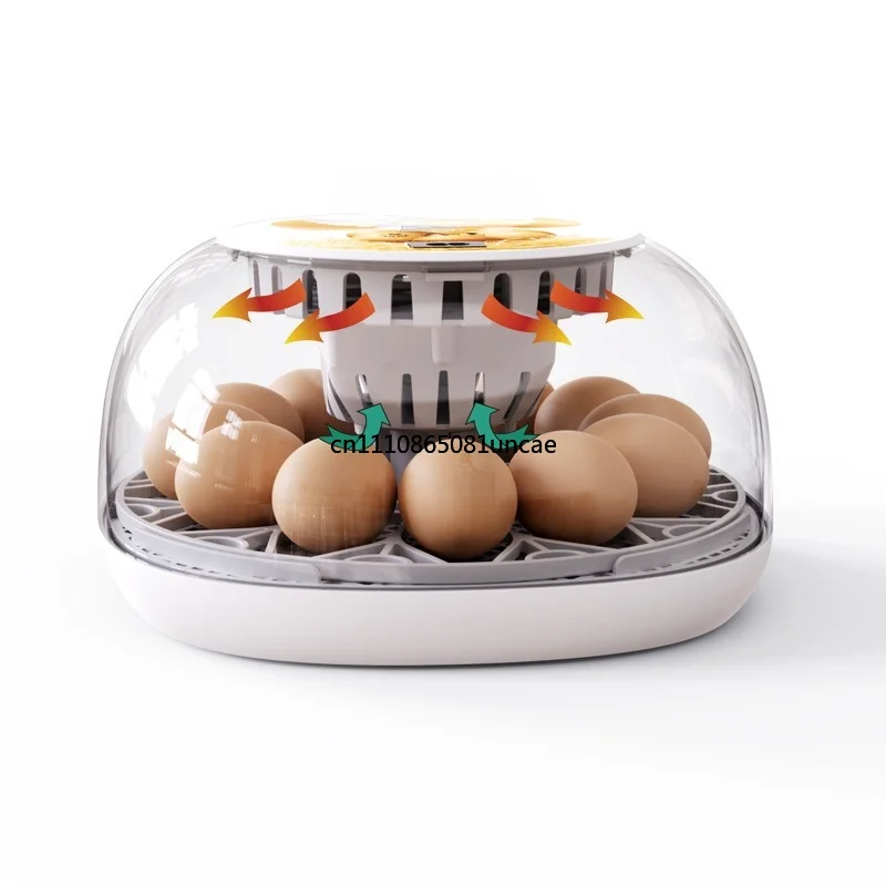 12-eggs-mini-automatic-egg-incubator-educational-hatching-machine-kids-science-learning-gift
