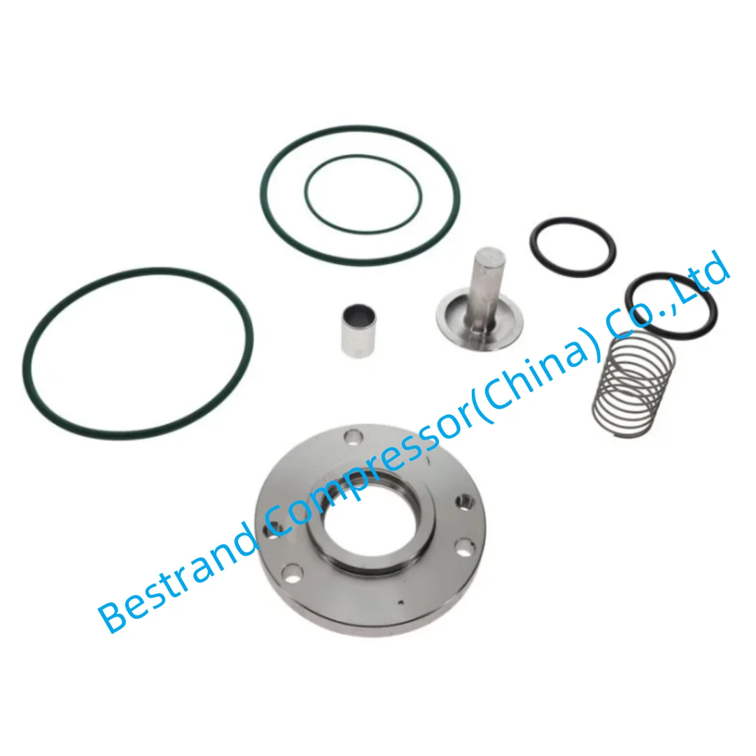 

Atlas copco spare parts 2906066000 CHECK VALVE SERVICE KIT FOR ZR ZT OIL FREE COMPRESSORS