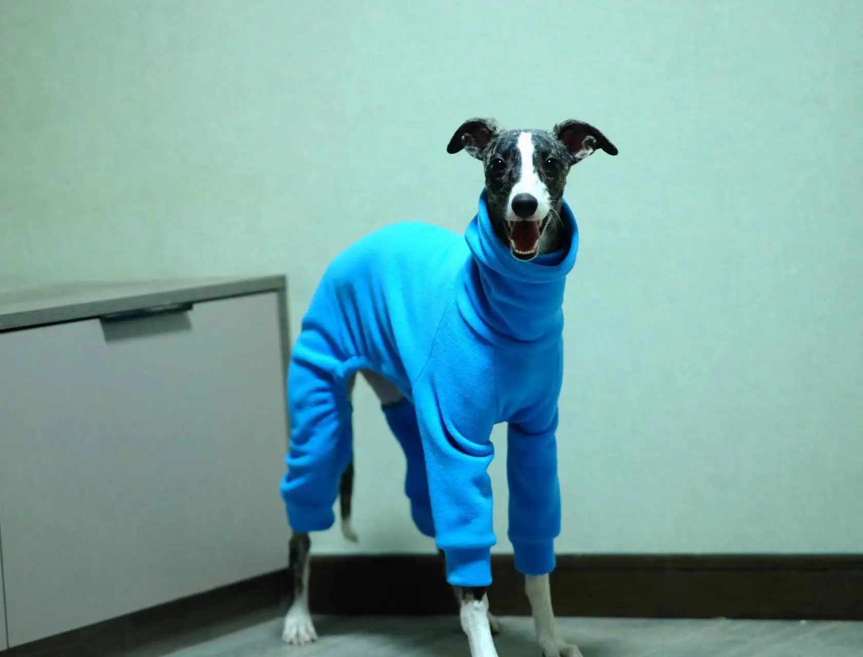 Whippet Polar Fleece Turtleneck Four Legged Jacket Blue Italian Greyhound Winter Clothes