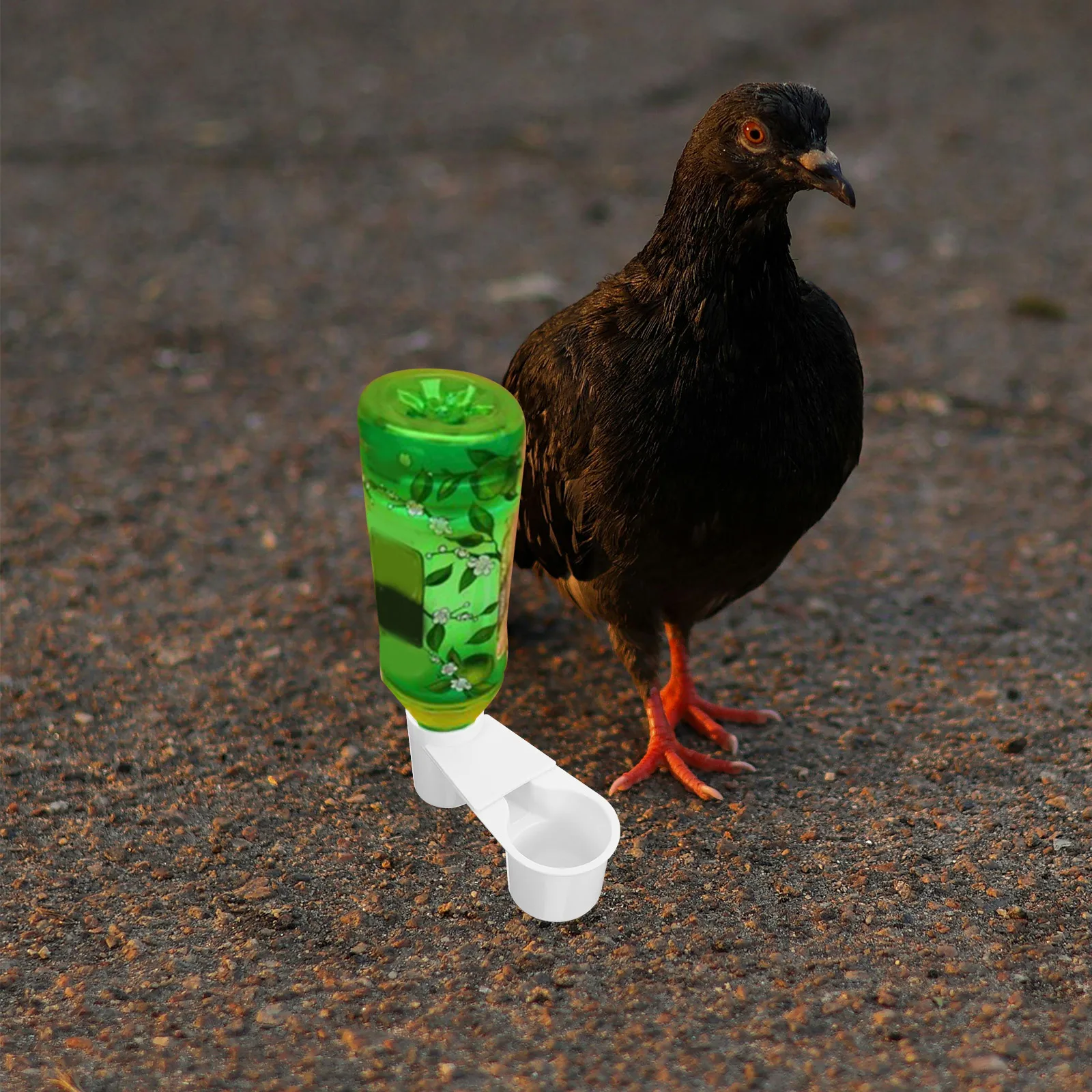 

5 Pcs Automatic Drinking Fountain Bird Feeding Tool Cage Accessories Bowls Cups Birds Food Plastic Drinker Feeder
