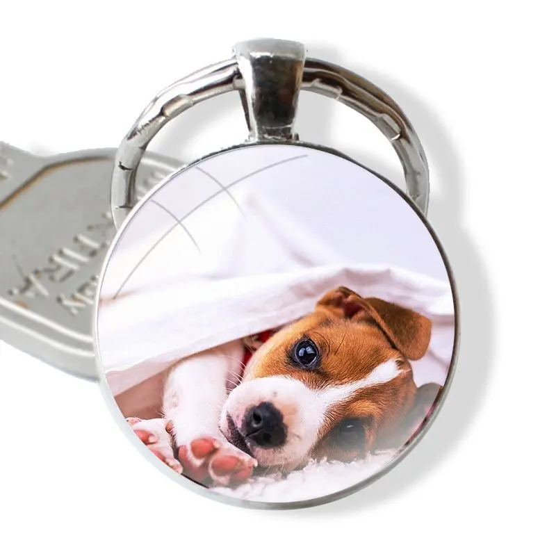 Jack Russell Terrier Dog glass cabochon keychain Car key chain Charms keychains Gifts Accessories Phone Shell Covers