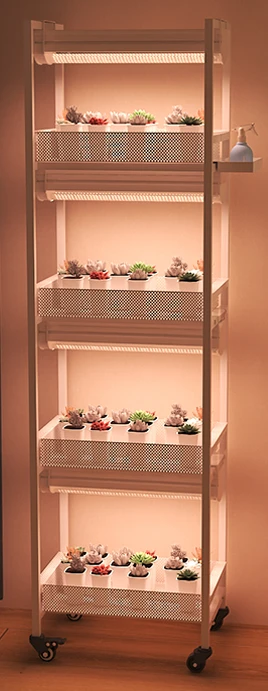 Portable indoor household breathable succulent flower rack small cart with pulley movable thickened plant storage rack