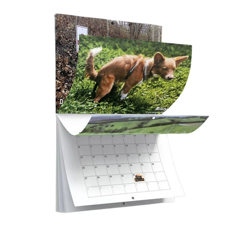 1 PCS Dog Pooping Wall Calendar As Shown Funny 2024 Pooches With Beautiful Places Calendar For 2024 Family Planner