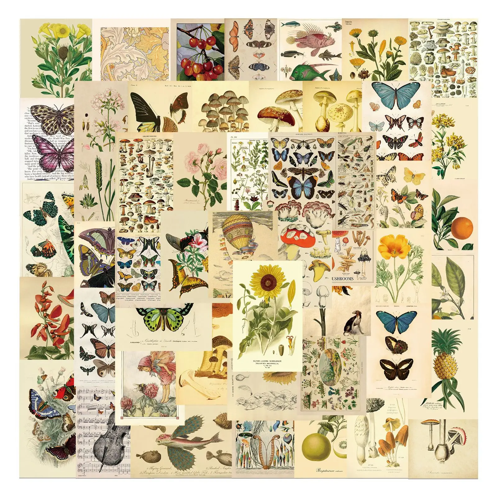 10/30/50PCS Vintage Plant Fruit Butterfly Stickers Aesthetic Graffiti Decals DIY Laptop Phone Suitcase Car Sticker Classic Toys