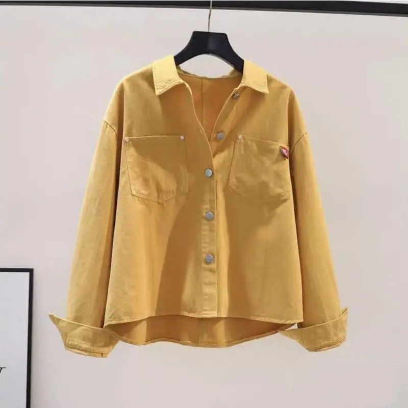 Fashion Design Blouse Women 98% Cotton Matte Short Shirts Light Green Loose Long Sleeve Shirt Jacket Spring Summer Trend Top Y2k