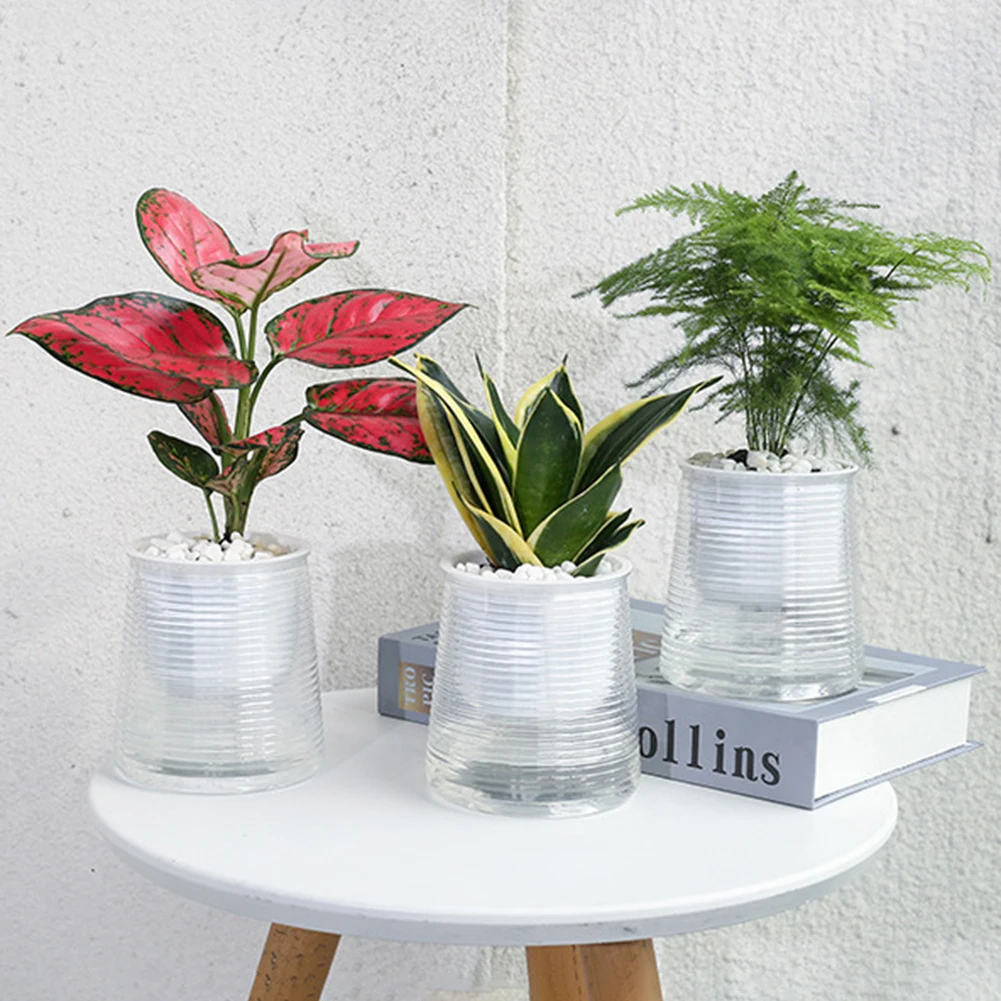 Simple Personality Flowerpot Transparent Appearance Planting Flower Basin Home Decoration