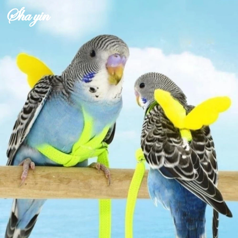 Random Adjustable Parrot Bird Harness Leash Set Anti-bite Training Harness Parrots Outdoor Flying Rope Cockatiel Bird Supplies