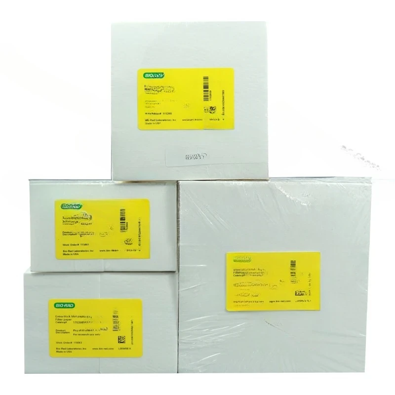 Ultra-thick Transfer Filter Paper 1703932/1703965/1703967/1703969/1703966 Electrophoretic Transfer Filter Paper WB Laboratory