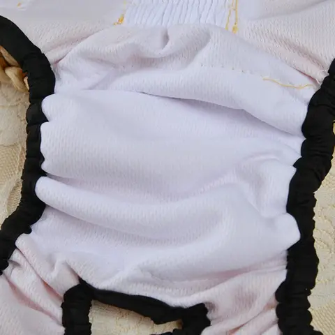 12 best sales बॉक्सर कुत्ता - №11