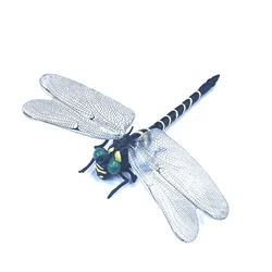12cm Dragonfly Outdoor Mosquito Repellent Simulation Large Dragonfly Model Anti-mosquito Bracelet Household Necessities