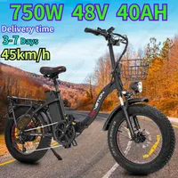 Electric Bike Folding 750W Powerful Motor 48v40ah Lithium Battery 20*4.0 Inch Fat Tire E Bike Hydraulic Brake Electric Bicycle