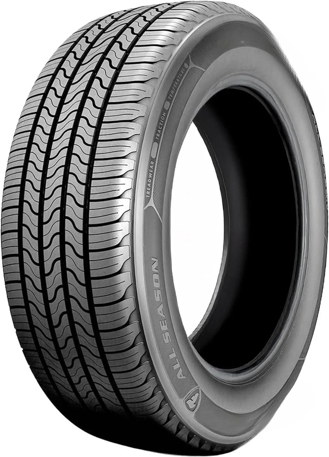 

All Season All Season 225/65R17 102H Passenger Tire