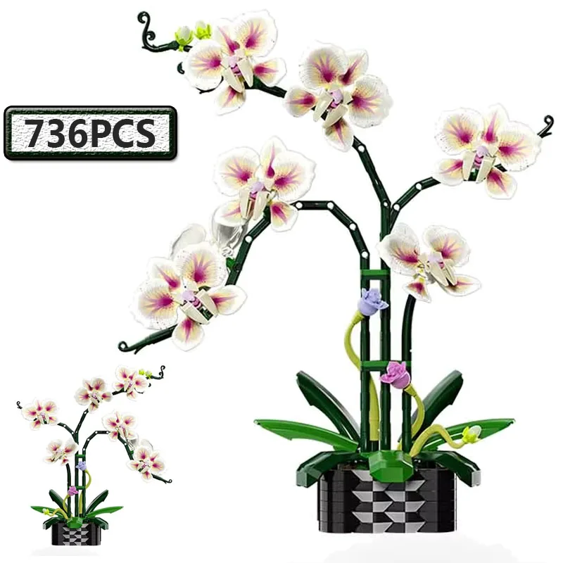 

Набор из 736 деталей для сборки цветка цимбидиума, конструктор для взрослых, подарок на День святого Валентина для девушек, набор для домашнего декора своими руками