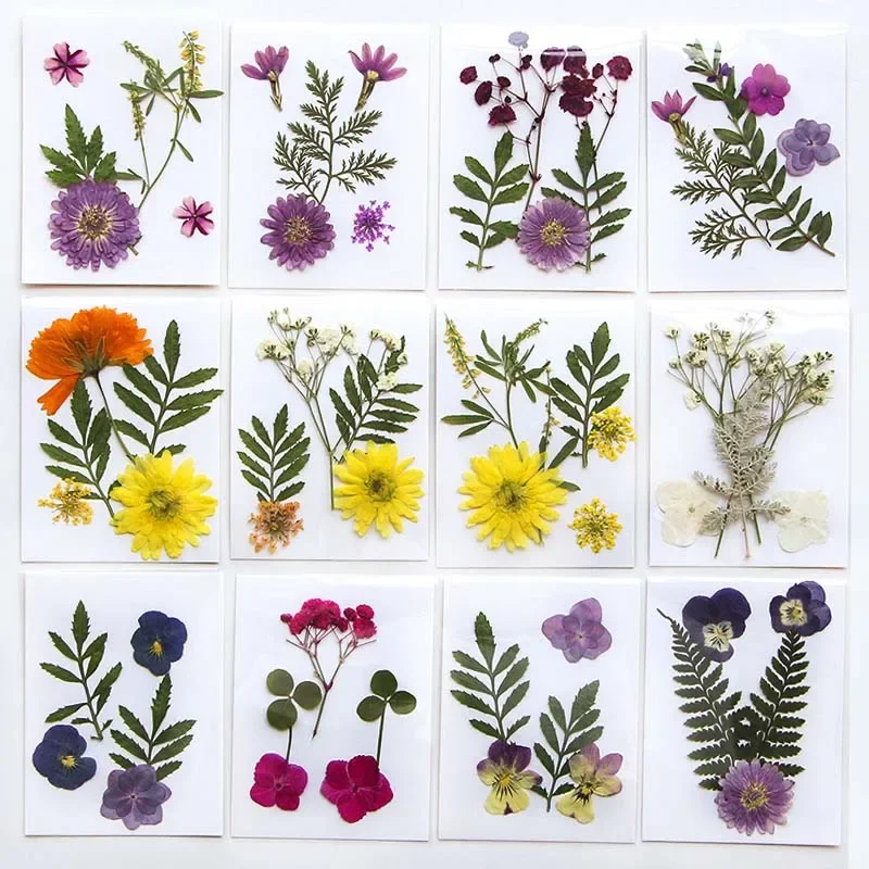 5/10/15/20/25PCS,Real Natural Dried Press Greenery and Flowers Kit,Pressed Flower Leaves Banch Set For Epoxy Resin,Candle Making