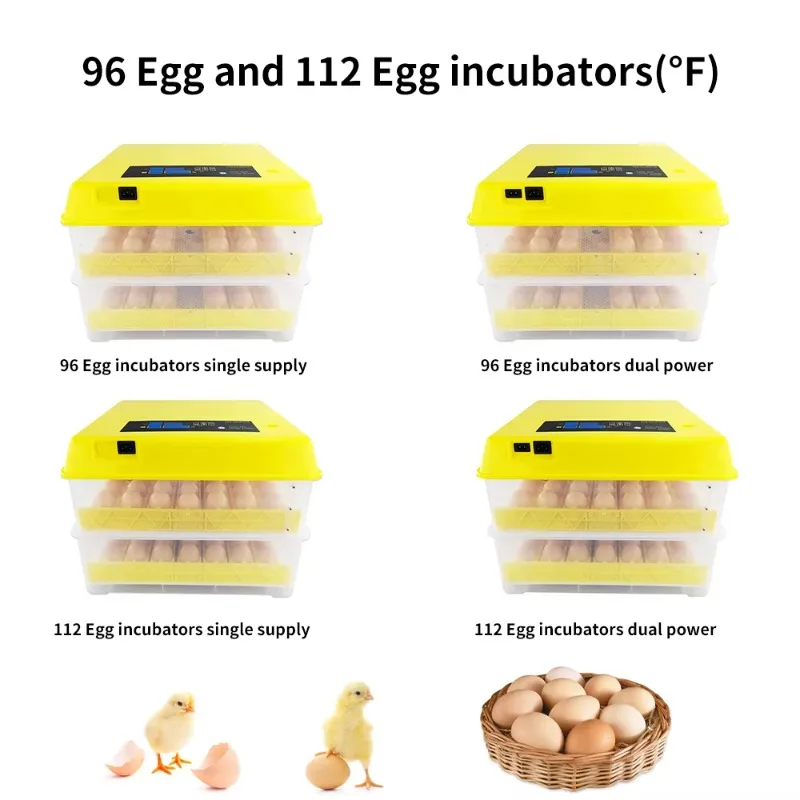 Factory Directly Supply Incubator Chicken Egg Incubator 36 Eggs Hatching Machine Farm CE Engine Accessories for Eggs Incubator