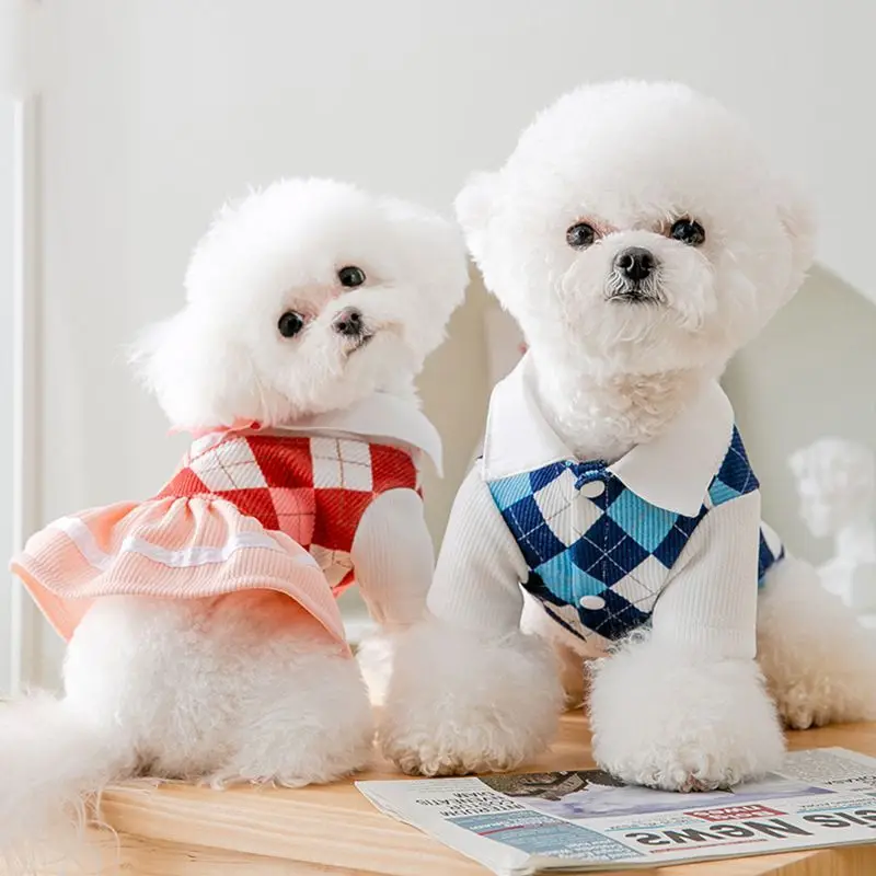 Spring and Summer Thin Puppy Dog Skirt American College Style Couple Outfit Small Dog Cat Two Feet Pet Clothes