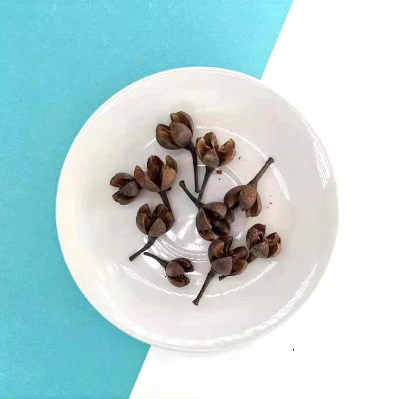 New Dried Cross Plant Fruits Flower Nutshell Handmade candy box Christmas Wedding decoration DIY flower arrangement Accessory 10