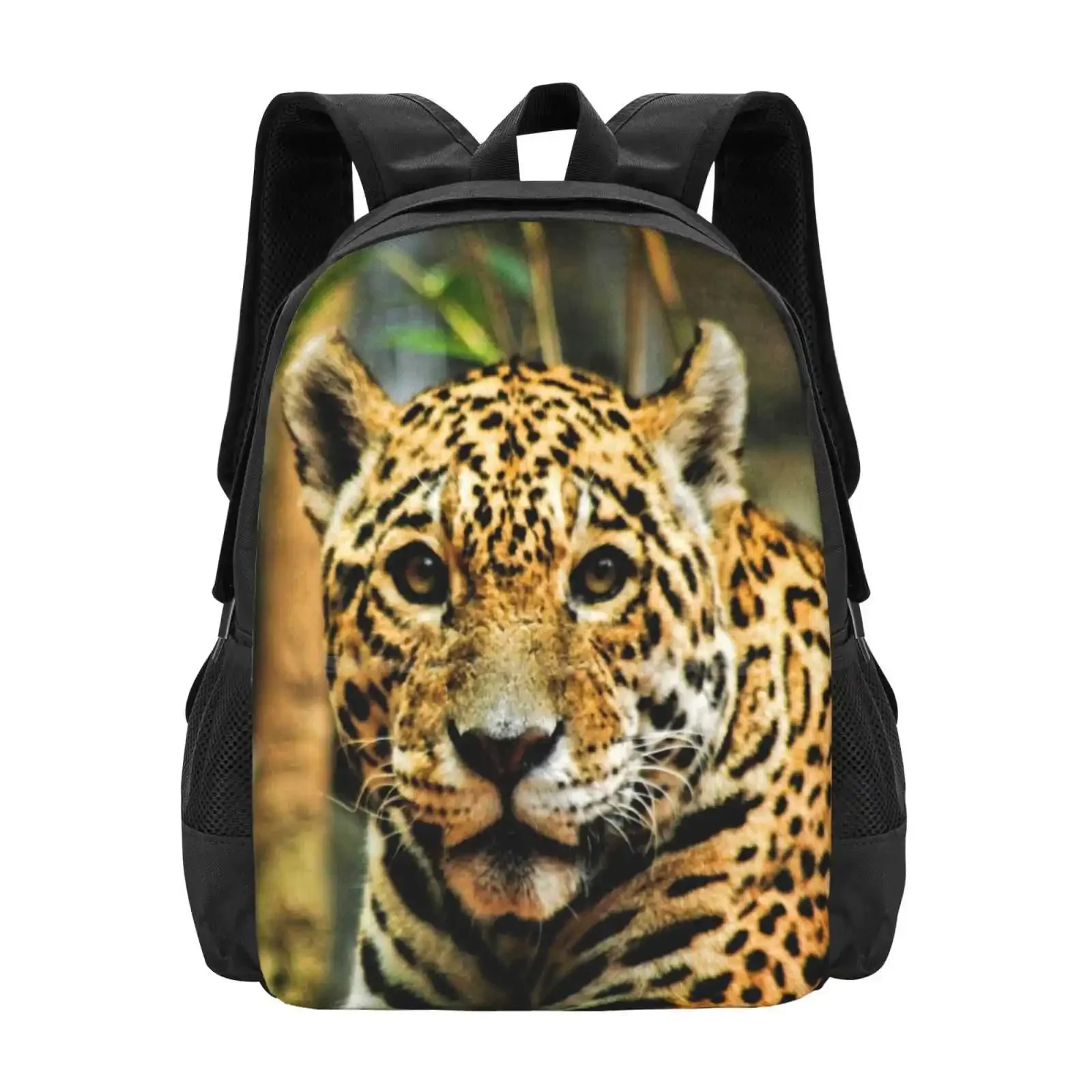 

Новые поступления, сумки унисекс, студенческая сумка, рюкзак Panthera Onca, животное, кошачья пятнистая кошка, пятна, большие кошки