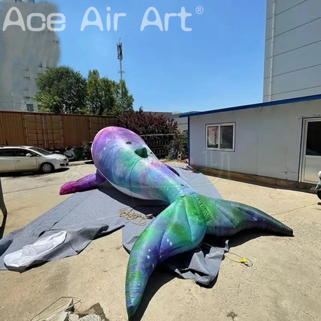 8 Meter Long Inflatable Whale Balloon Model for Party Events Air Blower Included