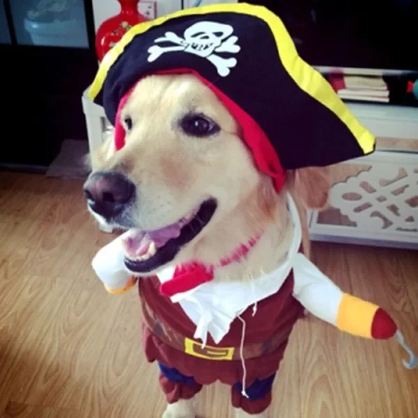 Dog pirate Halloween costume