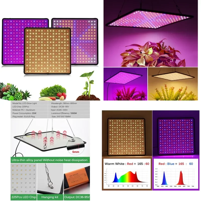 1000W Full Spectrum LED Grow Light for Indoor Plants Hydroponics Greenhouse Seedling Veg Flower Growing Lamp Panel