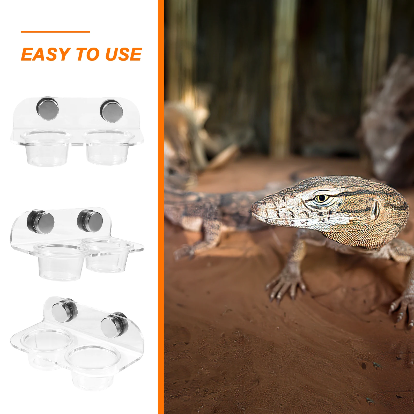 

Magnetic Reptile Feeder Transparent Food Cups Water Dish for TORTOISE SNAKE Pet Supplies Longtime Use Small Reptiles