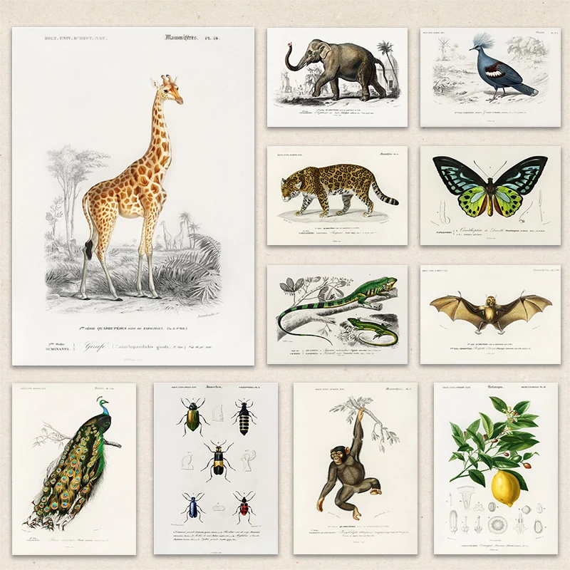 Affiche murale de fleurs botaniques d'animaux de paléontologie de Style Vintage, peinture sur toile imprimée, image rétro pour la décoration de la maison