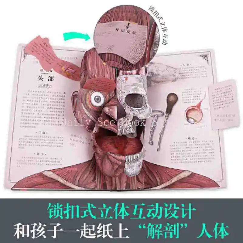 Human Body Pop-up Book, Anatomy To Explore The Mysteries of Body Operation (our Body Advanced Edition) Encyclopedia