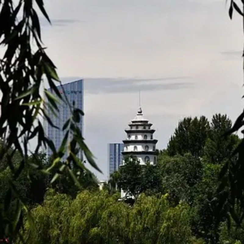 

GEPRC EM3110 3110 900KV мотор 6S LiPo для 8-10 дюймов FPV фристайл дронов дальнего действия DIY Запчасти