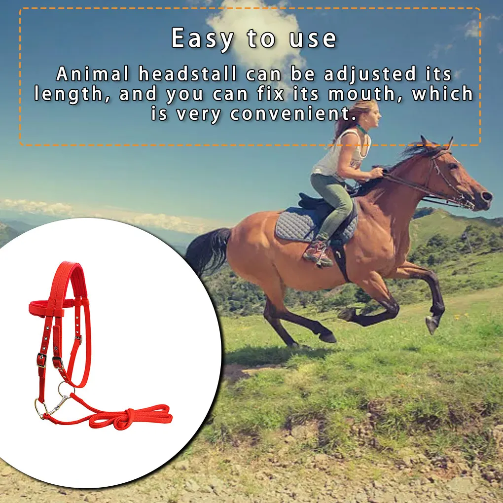 Уздечка для животных, мягкая регулируемая шлейка, воротник на голову, многоразовые моющиеся уличные аксессуары для закусок, черный S