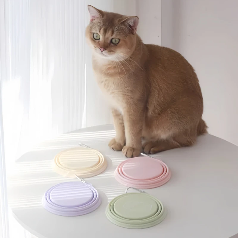 Pet Collapsible Silicone Bowl Outdoor Portable Dog & Cat Food Feeder Water Feeding Container with Carabiner Clip Pet Supplies