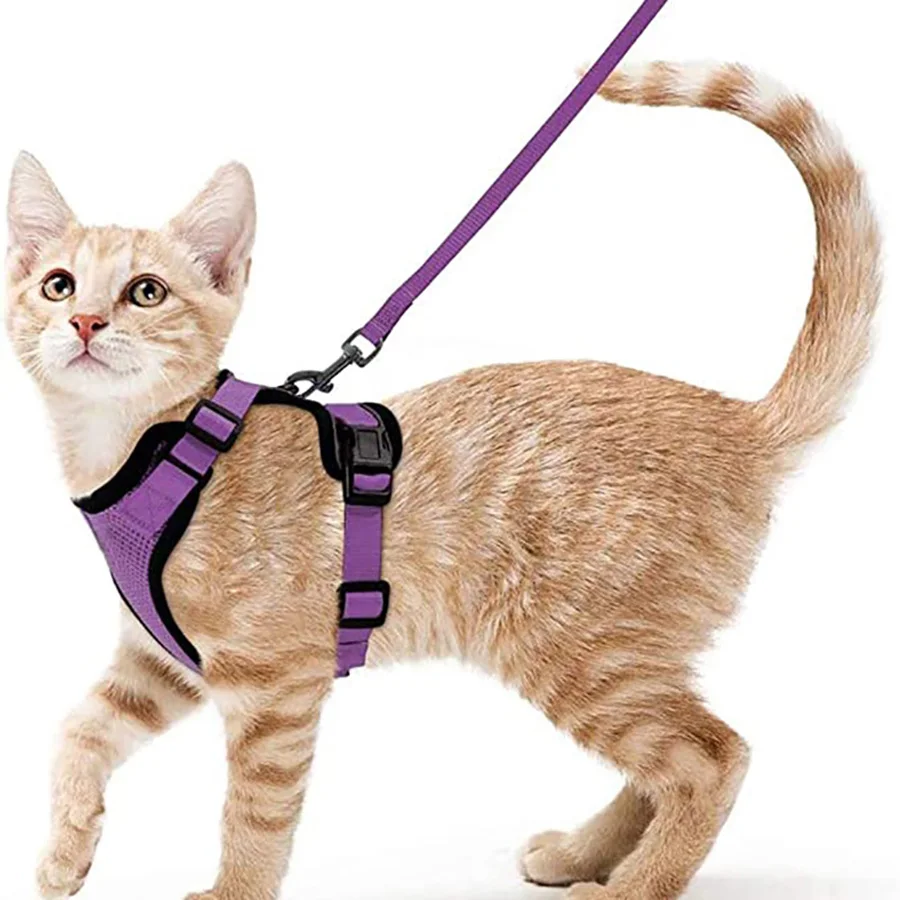 Katzengeschirr und Leine zum Spazierengehen, auslaufsichere, weiche, verstellbare Weste, Geschirre für Katzen, EasyControl