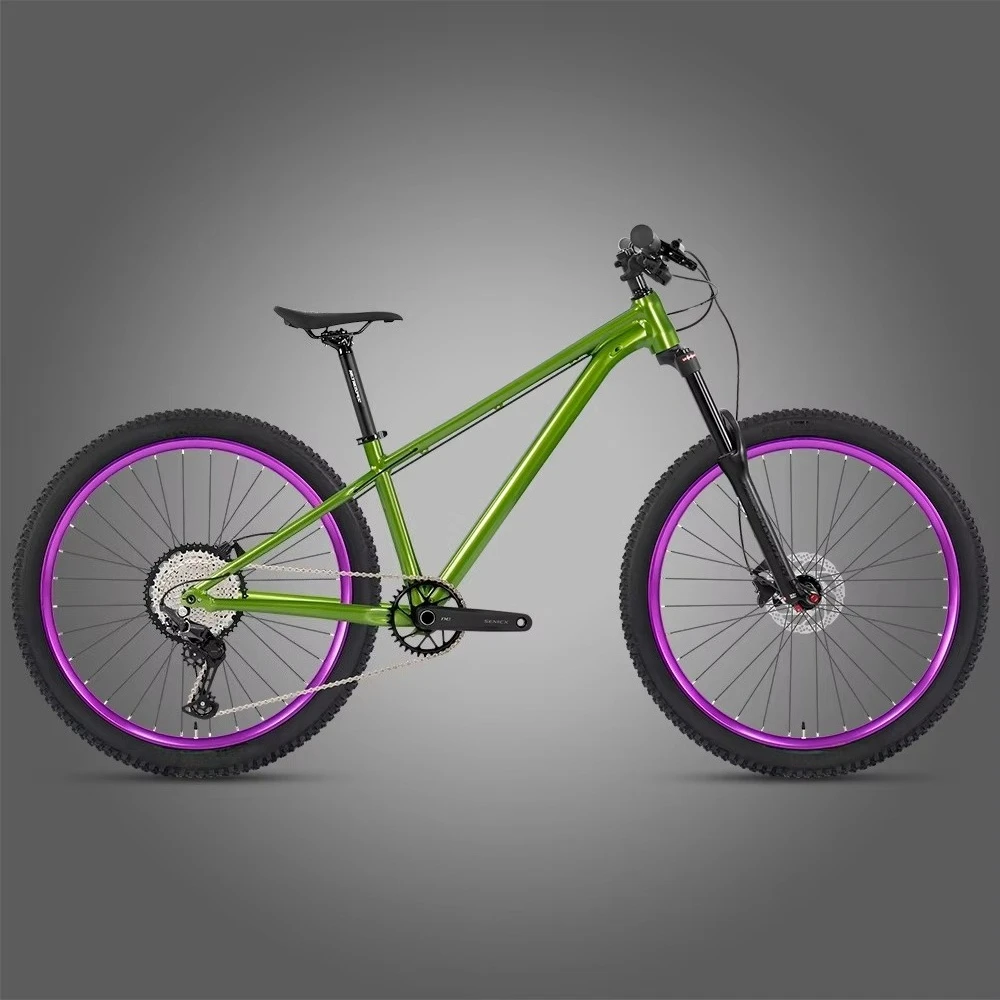 

27.5 Inch Dirt Jump Mountain Bike Alloy Frame Disc Brake Off Road MTB Bicycle Single Speed Dirt Jump Bike