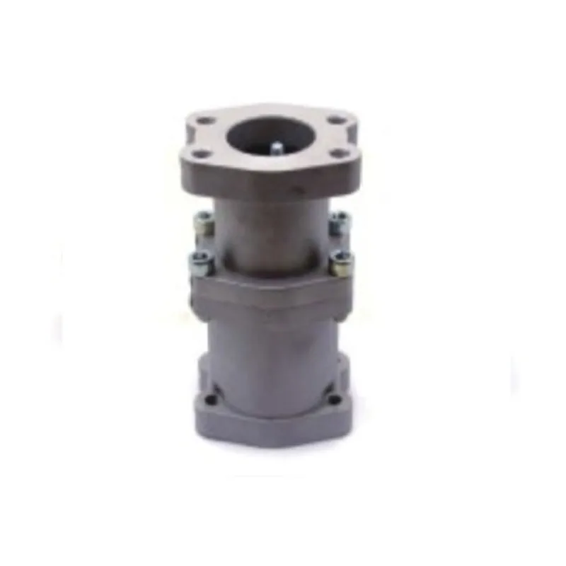 Check valve  for  Hyundai Assembly 5.0K31NB-12520