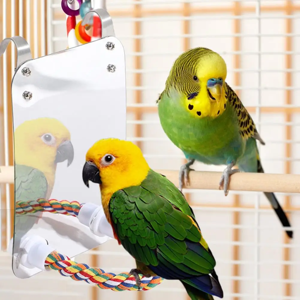 

Colorful Rope Parrot Toy Suitable for Cockatoos Conures Colorful Hanging Bird Mirror with Rope Perch A Vibrant Toy for Parrots