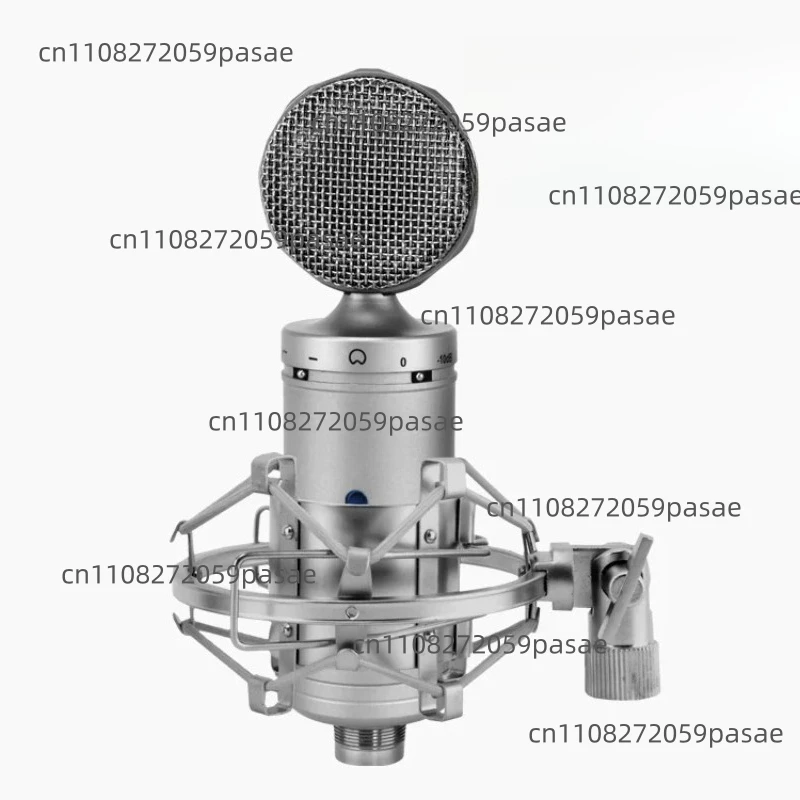 BM-5000 Large Diaphragm Condenser Microphone Set High-end Recording Karaoke bm5000 Microphone Wired