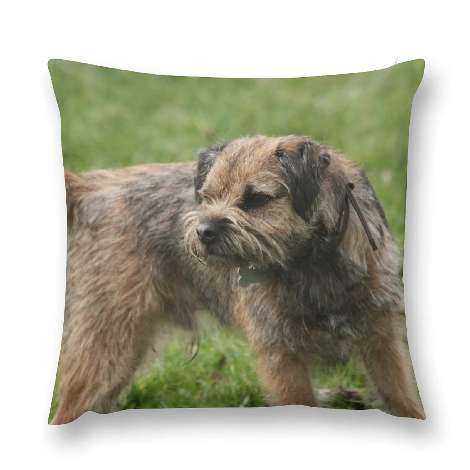 

Border Terrier Throw Pillow Pillowcase Cushion pillows decor home ornamental pillows for living room Decorative Cushion pillow