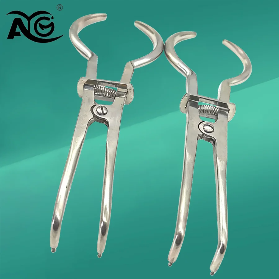 AG 1PCS Dentistry Dam Clamp Placement Plier For Dentist Clinic Rubber Dental Orthodontic Clips Pliers Tools