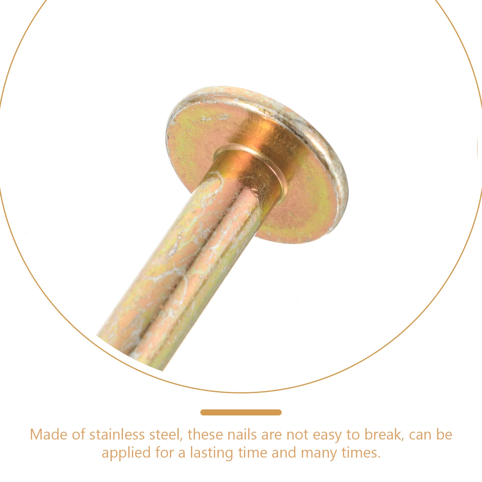 

10pcs 10CM Galvanized Test Stakes Nails Garden Outdoor Fixing Projects Stainless Steel Landscaping Pegs Ground Spikes