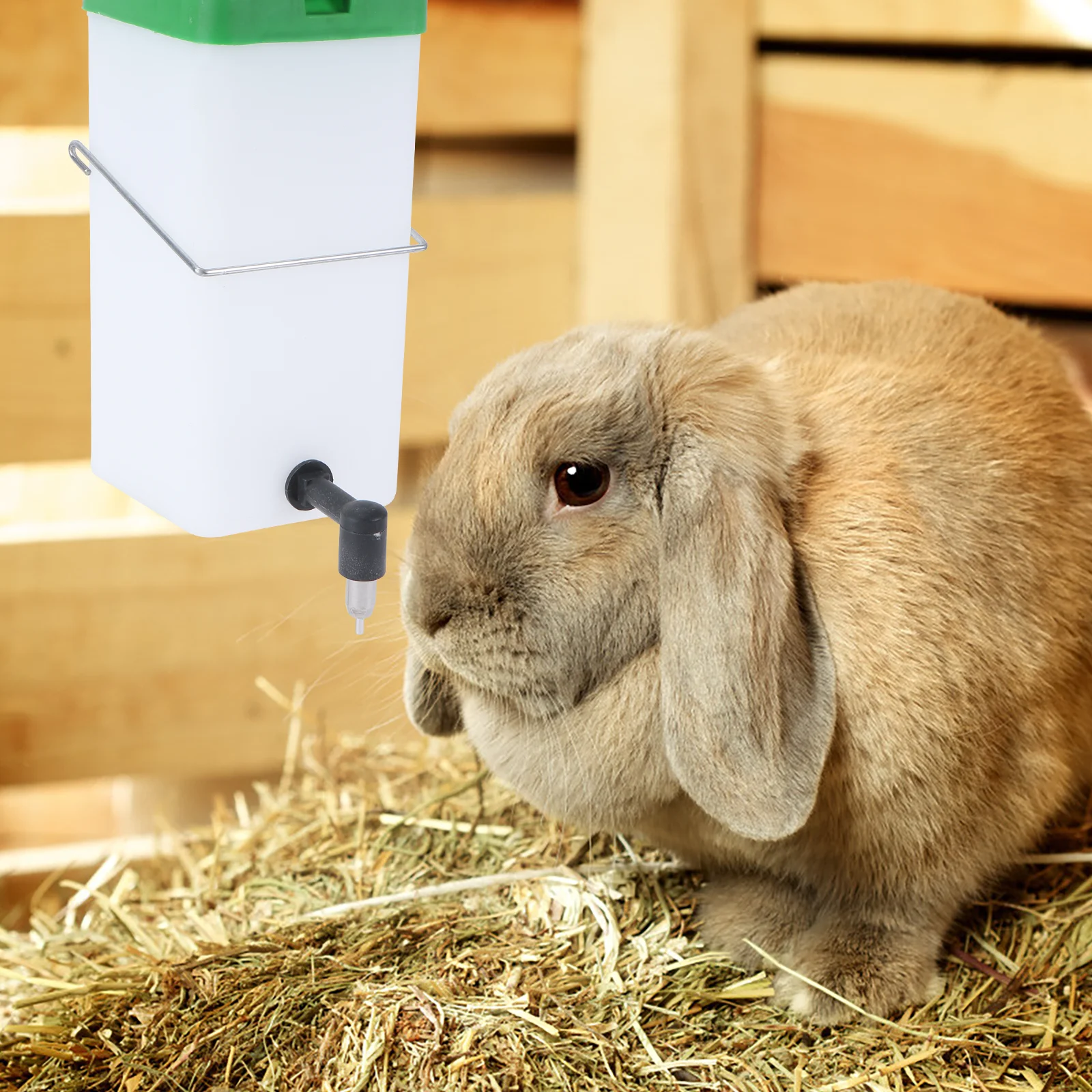 

1Pc Environmentally Friendly Rabbit Drinking Bowl Automatic Water Dispenser Durable