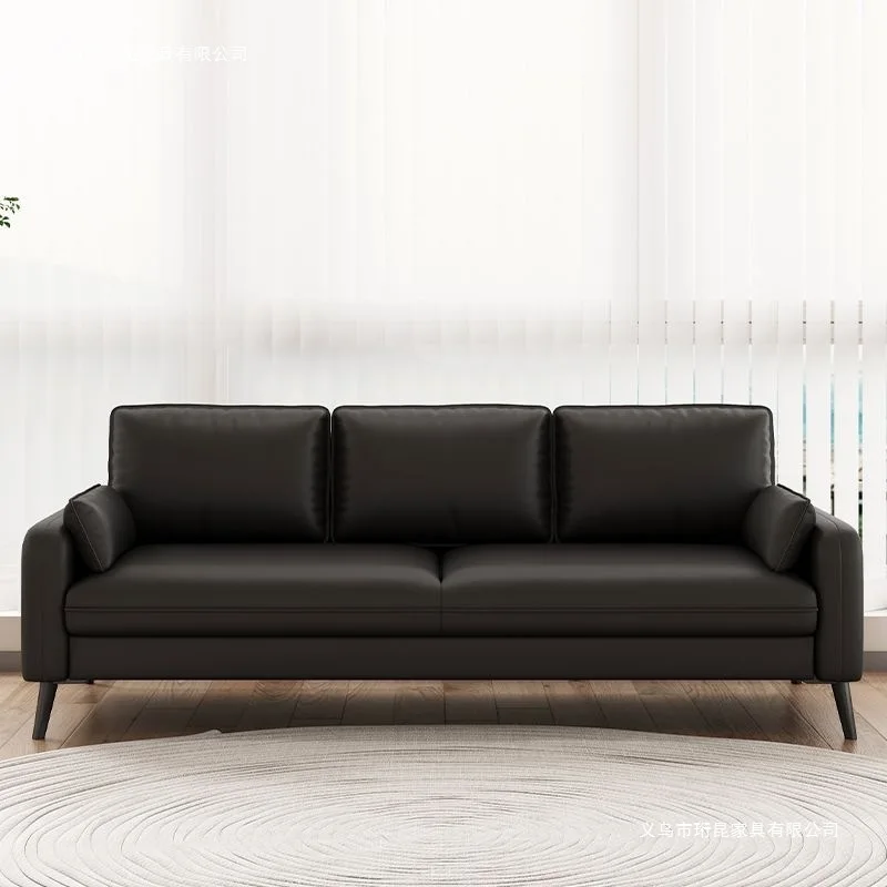 Double sofa Small apartment Home simple apartment Rental room Office lounge area Reception cat scratching small sofa
