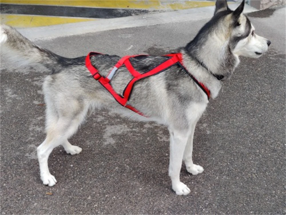 Hochwertiges Schlaufen-Geschirr für große Hunde zum Skifahren und Laufen – Geschirre für mittelgroße und große Hunde wie Alaska Hound, Bulldoggen und andere Haustiere – Zubehör – Detail 8