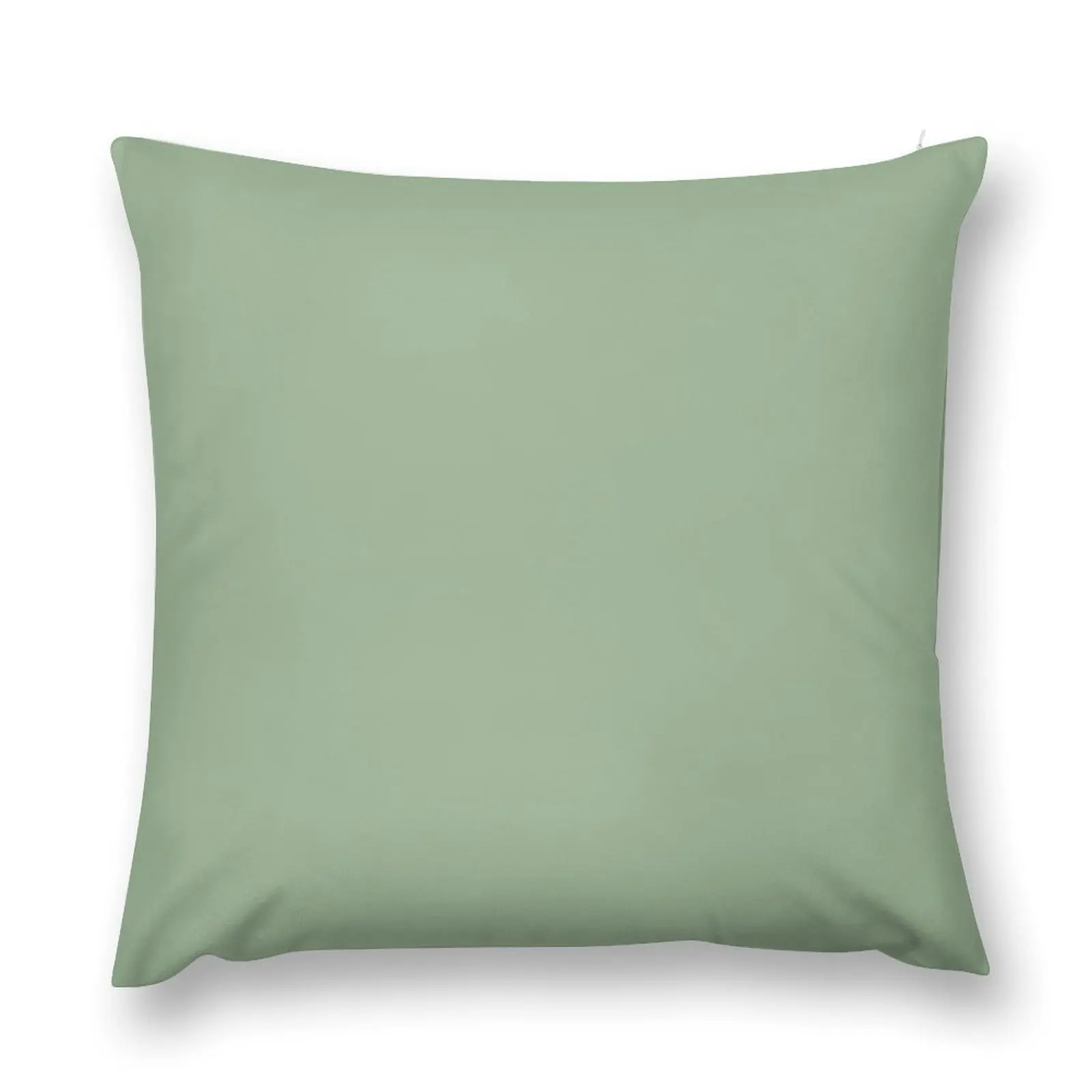 

Sage Green Solid Plain Background Throw Pillow Ornamental Pillow pillow