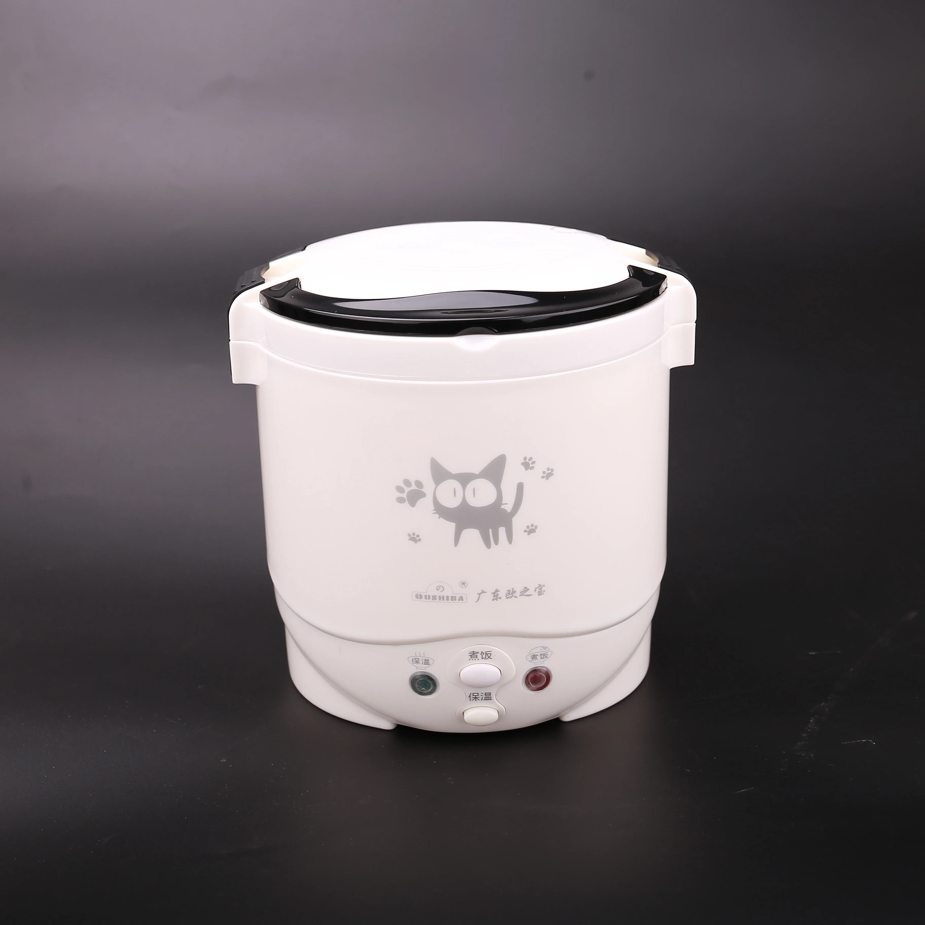 1L Rice Cooker 110v to 220v or Car 12v to 24v for Two Persons - English Instructions