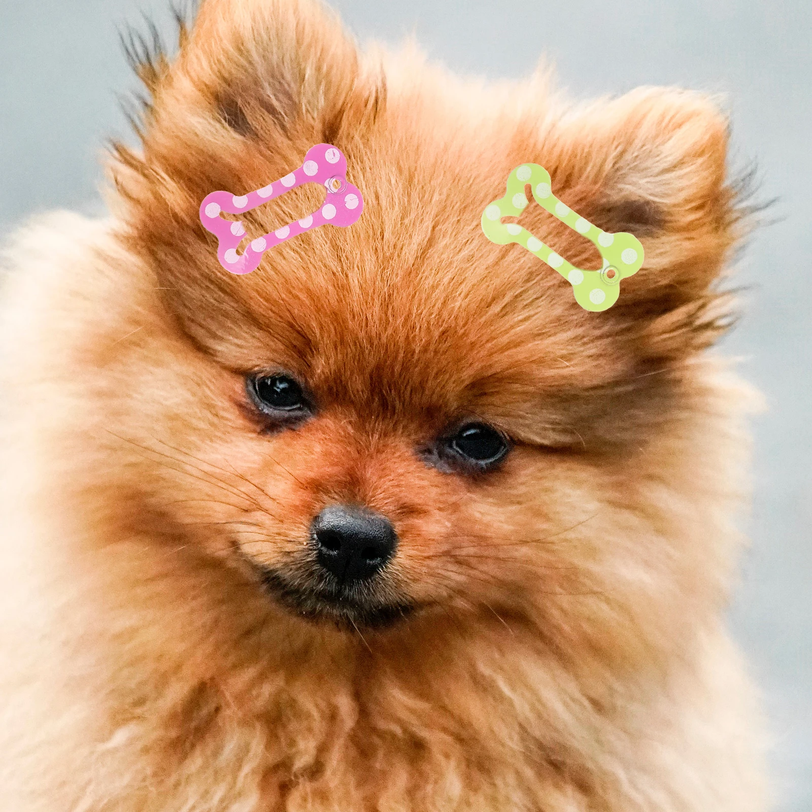 

20pcs Dog Hair Clips Set Puppy Accessories Bone Shaped Pet Barrettes Metal Cute Safe Firm Easy Matching Daily Party Use Pet