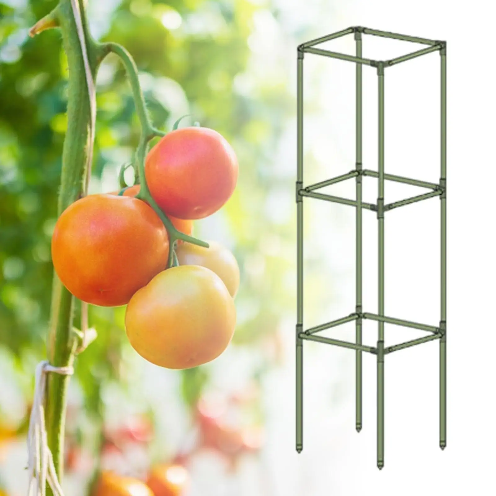 Square Tomato Cage Bean Practical Plant Support Plant Climbing Rack Plant Stakes Support for Grapes Beans